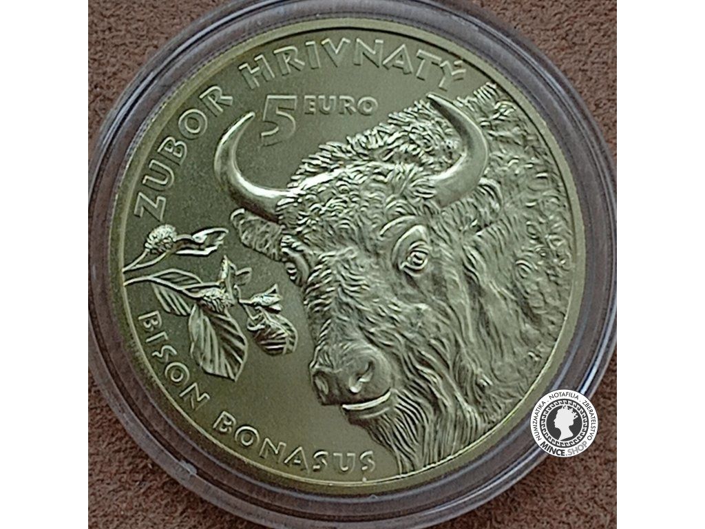 Zberateľská minca 5 eur / 2024 Fauna a flóra na Slovensku – zubor hrivnatý