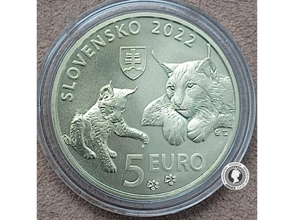 Minca 5€ (2022) Rys ostrovid